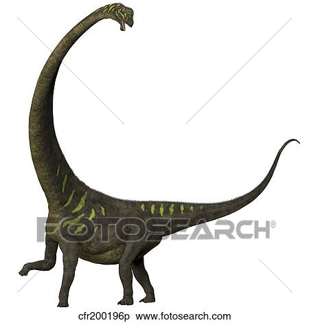 Mamenchisaurus, a plant-eating sauropod dinosaur. View Large Illustration Stock Illustration - Mamenchisaurus, a plant-eating sauropod dinosaur.. Fotosearch