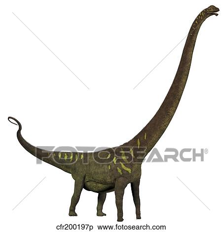 Mamenchisaurus, a plant-eating sauropod dinosaur. View Large Illustration Stock Illustration - Mamenchisaurus, a plant-eating sauropod dinosaur.. Fotosearch