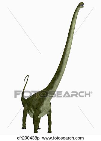 Mamenchisaurus dinosaur. View Large Illustration Stock Illustration - Mamenchisaurus dinosaur.. Fotosearch