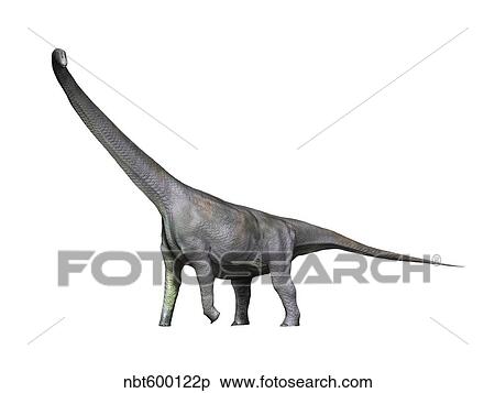 Stock Illustration - Mamenchisaurus dinosaur.. Fotosearch