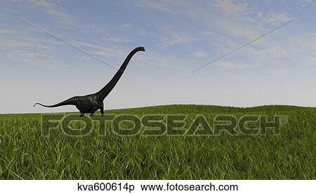 Mamenchisaurus walking across a grassy field. View Large Illustration Stock Illustration - Mamenchisaurus walking across a grassy field.. Fotosearch