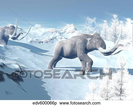 Mammoths walking slowly on the snowy mountain against the wind. View Large Illustration Stock Illustration - Mammoths walking slowly on the snowy mountain against the wind.. Fotosearch