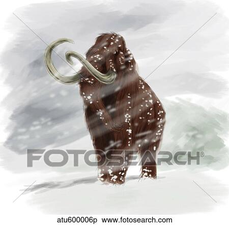 Mammuthus primigenius walking through a blizzard. View Large Illustration Stock Illustration - Mammuthus primigenius walking through a blizzard.. Fotosearch