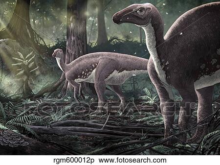 Mantellisaurus atherfieldensis dinosaurs in a prehistoric forest. View Large Illustration Stock Illustration - Mantellisaurus atherfieldensis dinosaurs in a prehistoric forest.. Fotosearch