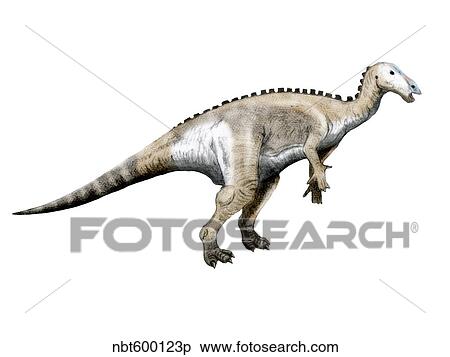 Mantellisaurus dinosaur. View Large Illustration Stock Illustration - Mantellisaurus dinosaur.. Fotosearch