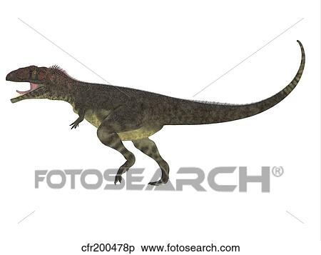Mapusaurus dinosaur, white background. View Large Illustration Stock Illustration - Mapusaurus dinosaur, white background.. Fotosearch