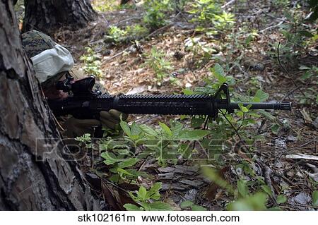 Marine uses a tree for cover and concealment while providing security. View Large Photo Image Picture - Marine uses a tree for cover and concealment while providing security.. Fotosearch