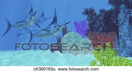 Marlin predatory fish look for prey around an ocean coral reef. View Large Illustration Stock Illustration - Marlin predatory fish look for prey around an ocean coral reef.. Fotosearch