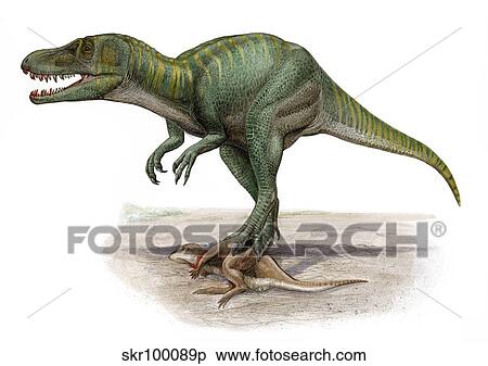 Marshosaurus bicentesimus, a prehistoric era dinosaur. View Large Illustration Stock Illustration - Marshosaurus bicentesimus, a prehistoric era dinosaur.. Fotosearch
