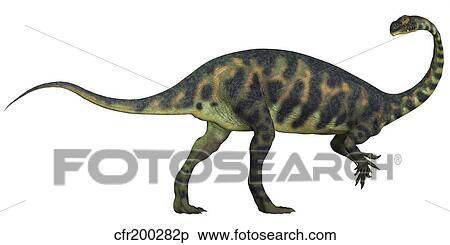 Massospondylus dinosaur fromt he Jurassic Age of Africa. View Large Illustration Stock Illustration - Massospondylus dinosaur fromt he Jurassic Age of Africa.. Fotosearch