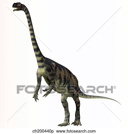 Massospondylus dinosaur. View Large Illustration Stock Illustration - Massospondylus dinosaur.. Fotosearch