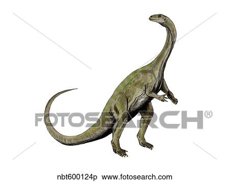 Massospondylus dinosaur. View Large Illustration Stock Illustration - Massospondylus dinosaur.. Fotosearch
