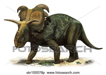 Stock Illustration - Medusaceratops lokii, a prehistoric era dinosaur.. Fotosearch
