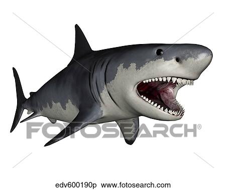 Megalodon dinosaur. View Large Illustration Stock Illustration - Megalodon dinosaur.. Fotosearch