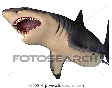 Megalodon shark, an enormous predator from the Cenozoic Era. View Large Illustration Stock Illustration - Megalodon shark, an enormous predator from the Cenozoic Era.. Fotosearch