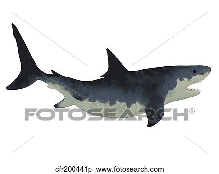Megalodon shark. View Large Illustration Stock Illustration - Megalodon shark.. Fotosearch