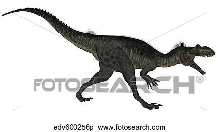 Stock Illustration - Megalosaurus dinosaur roaring, white background.. Fotosearch