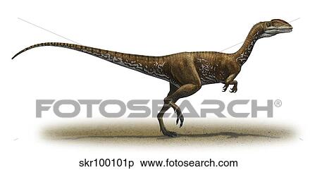 Megapnosaurus kayentakatae, a prehistoric era dinosaur. View Large Illustration Stock Illustration - Megapnosaurus kayentakatae, a prehistoric era dinosaur.. Fotosearch