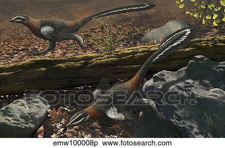 Mei long, the famous troodontid in the sleeping position. View Large Illustration Stock Illustration - Mei long, the famous troodontid in the sleeping position.. Fotosearch