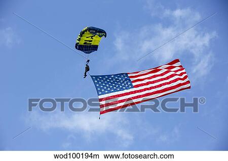 Picture - Member of the U. S. Navy Parachute Team flies the American Flag.. Fotosearch