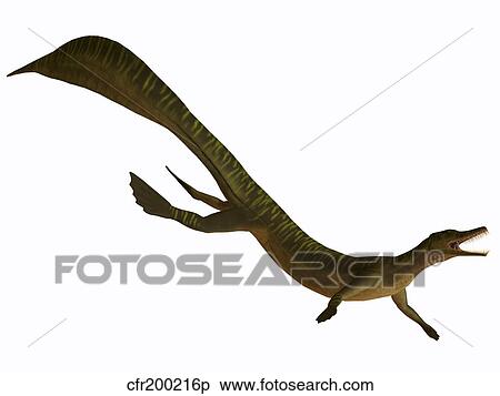 Stock Illustration - Mesosaurus, an aquatic reptile from the Early Permian period.. Fotosearch