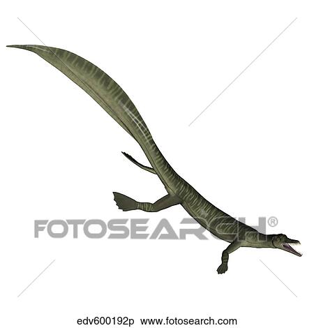 Mesosaurus dinosaur. View Large Illustration Stock Illustration - Mesosaurus dinosaur.. Fotosearch