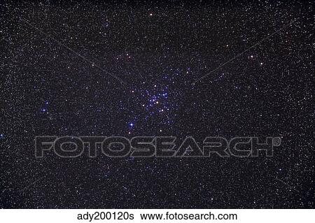 Messier 41 below the bright star of Sirius in the constellation Canis Major. View Large Photo Image Stock Photograph - Messier 41 below the bright star of Sirius in the constellation Canis Major.. Fotosearch