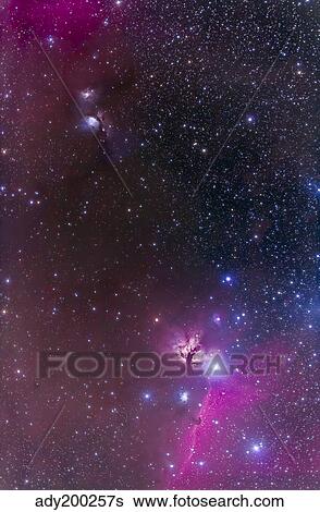 Messier 78 & Horsehead Nebula in Orion. View Large Photo Image Stock Photograph - Messier 78 & Horsehead Nebula in Orion.. Fotosearch
