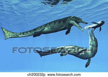 Stock Illustration - Metriorhynchus marine reptiles try to capture a Coelacanth fish.. Fotosearch