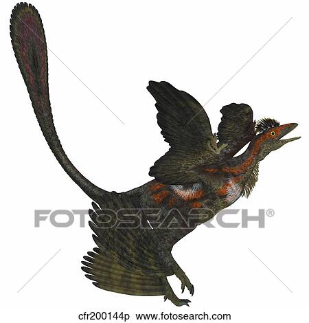 Stock Illustration - Microraptor, an extinct small flying dinosaur from the Cretaceous Period.. Fotosearch
