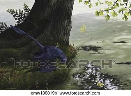 Microraptor gui eating a small fish. View Large Illustration Stock Illustration - Microraptor gui eating a small fish.. Fotosearch