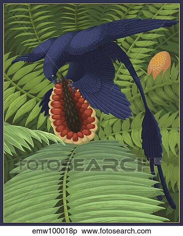 Microraptor gui snacking on a cycad fruit. View Large Illustration Stock Illustration - Microraptor gui snacking on a cycad fruit.. Fotosearch