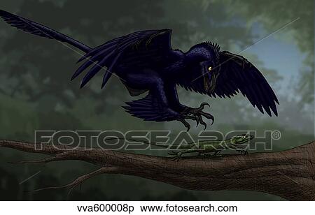 Microraptor hunting a small lizard on a tree branch. View Large Illustration Stock Illustration - Microraptor hunting a small lizard on a tree branch.. Fotosearch