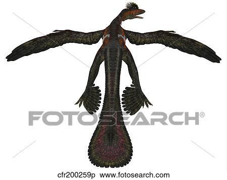Microraptor was a flying dinosaur that lived during the Cretaceous Period. View Large Illustration Stock Illustration - Microraptor was a flying dinosaur that lived during the Cretaceous Period.. Fotosearch