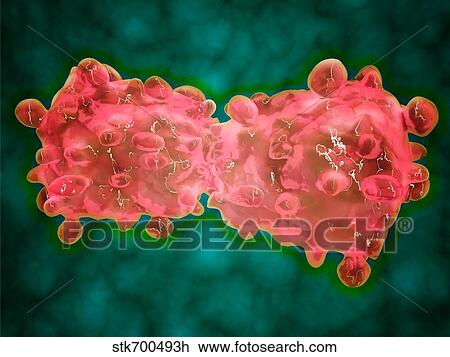 Microscopic view of a leukemia cell. View Large Illustration Drawing - Microscopic view of a leukemia cell.. Fotosearch