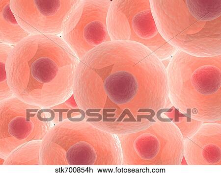 Microscopic view of animal cell. View Large Illustration Drawing - Microscopic view of animal cell.. Fotosearch