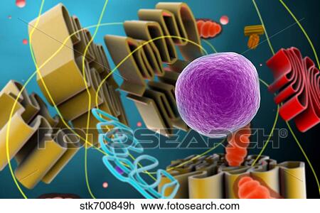 Drawing - Microscopic view of animal cell nucleus.. Fotosearch