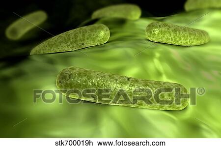 Drawing - Microscopic view of bacteria.. Fotosearch