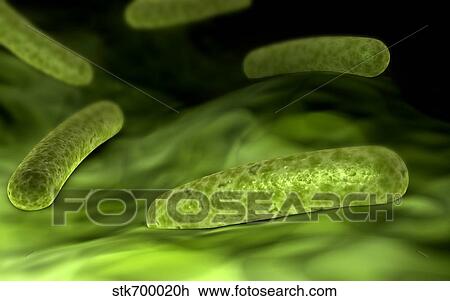 Drawing - Microscopic view of bacteria.. Fotosearch
