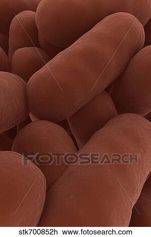 Drawing - Microscopic view of bacteria.. Fotosearch