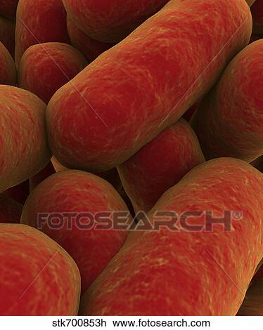 Drawing - Microscopic view of bacteria.. Fotosearch