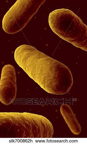 Microscopic view of bacteria. View Large Illustration Drawing - Microscopic view of bacteria.. Fotosearch