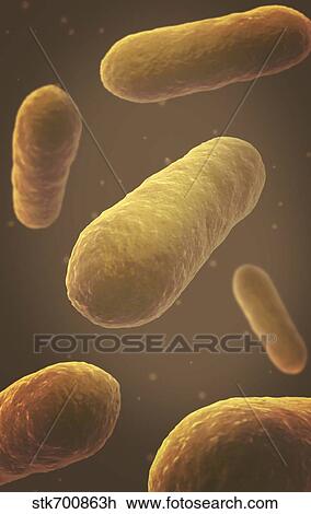 Microscopic view of bacteria. View Large Illustration Drawing - Microscopic view of bacteria.. Fotosearch