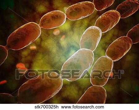 Drawing - Microscopic view of bacterial pneumonia.. Fotosearch