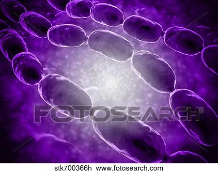 Drawing - Microscopic view of bacterial pneumonia.. Fotosearch