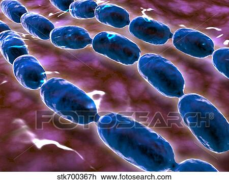 Drawing - Microscopic view of bacterial pneumonia.. Fotosearch
