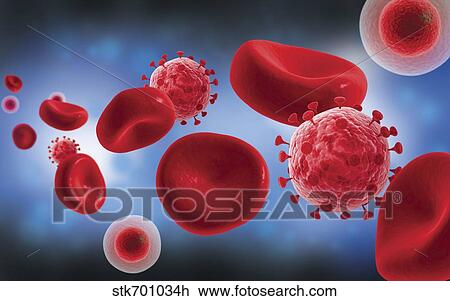 Drawing - Microscopic view of blood cells with virus.. Fotosearch