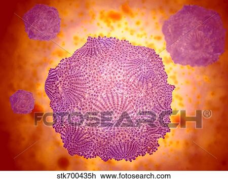 Drawing - Microscopic view of Canine Parvovirus.. Fotosearch