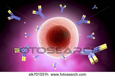 Drawing - Microscopic view of cell and antibody.. Fotosearch