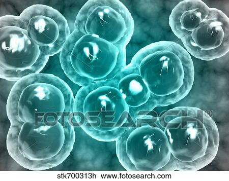 Drawing - Microscopic view of chlamydia.. Fotosearch